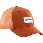 Salomon Trucker Curved Casquette Unisexe, Polyvalent et Confortable, pour la Course à Pied, Randonnée, Running et Marche, Burnt Henna, L/XL