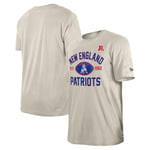 NEW ENGLAND PATRIOTS New Era Cap NFL Regular T-Shirt Distressed Screenprint Team Graphic Stone Unisex