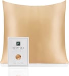 Taie d'oreiller en Soie pour Oreiller 100% Soie 22 Mommes Certifiée Oeko-TEX® Bienfaits Cheveux et Peau Anti Âge, Anti Acarien (40x40cm, Champagne)