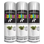 3X White Gloss Spray Paint Aerosol Auto Car Lacquer Wood Metal 250ml