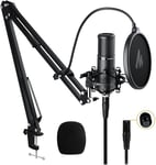 Microphone à condensateur XLR, Micro d'enregistrement cardioïde Professionnel pour Streaming, baladodiffusion, Chant, Voix, Home Studio, Youtube, Skype, Twitch (PM320S)