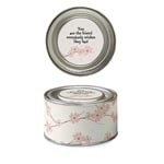 You Are The Friend Everybody Wishes They Had Apple Blossom Scented Tin Candle