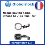 Nappe bouton home pour iPhone 6s / 6s Plus - Or