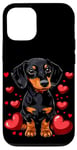 Coque pour iPhone 12/12 Pro Coeurs de teckel pour la Saint-Valentin