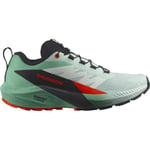 SALOMON Sense Ride 5 W Vert / Noir 38 2024 - *prix inclus code TRAIL20