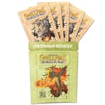 Spellfire Rare Booster Paquet Cinq Carte Re-Master THE MAGIC Carte Jeu SPBU0001