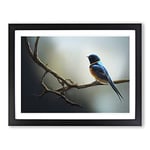 The Riveting Swallow Bird H1022 Framed Print for Living Room Bedroom Home Office Décor, Wall Art Picture Ready to Hang, Black A3 Frame (46 x 34 cm)