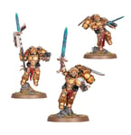 Warhammer 40,000 ( 40k ) - Sanguinary Guard 41-31