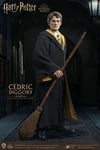 Figurine D'Action Deluxe 1/6 Cedric Diggory Harry Potter STAR ACE