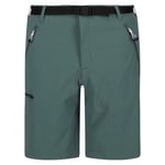 Regatta Mens Xert III Stretch Shorts (Sea Pine) - Dark Green material_Synthetic - Size 44 Regular