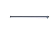 Philips Projectline Luminaire pour pièces humides, 1200 mm, 3100 lm, 3000 K, gris