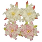 Scrapberrys Pappersblommor - Gardenia 50 mm White & Pink Mix 4 st