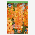 Gladiol, Olympic Fire