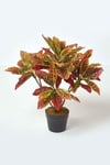 Rushfoil' Artificial Croton Plant with Pot, 65 cm