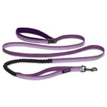 Laisse pour Sportifs HALTI - Laisse élastique Chien Mains-Libres avec Coutures Réfléchissantes & Amortisseur. Convient pour la Course & Marche avec Chiens de taille Moyenne & Grande (Taille L, Violet)