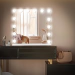 Saihemei Hollywood Vanity Mirror with Lights, Large Light Up Makeup Mirror with