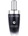 Lancôme Génifique Serum, 50ml