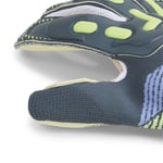 Puma Future Pro Hybrid Goalkeeper Gloves