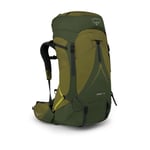 Osprey Atmos Ag Lt 65 Scenic Valley/Green Peppercorn