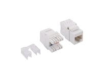 Logilink Nk4005, Platt, Vit, Rj-45, Kvinnlig Kontakt, 27 Mm, 42 Mm