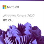 Windows Server 2022 Remote Desktop Services - 1 User CAL - 1 år