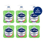 Carex 2 Hour Protection Antibacterial Aloe Vera Hand Wash Added Natural Moisturi