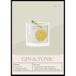 Gallerix Poster Gin Tonic Cocktail 21x30 5141-21x30