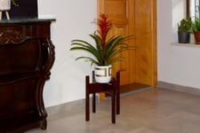 Florny Handmade Solid Wood Plant  Stand Planter  (40 cm)