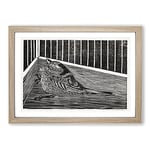 Big Box Art Bird in The Cage by Samuel De Mesquita Framed Wall Art Picture Print Ready to Hang, Oak A2 (62 x 45 cm)