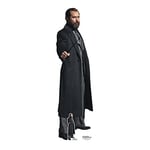 Star Cutouts Ltd SC4056 Albus Dumbledore Jude Law Silhouette en Carton Grandeur Nature Animaux fantastiques