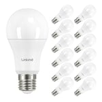 Linkind Ampoule LED E27 Blanc Froid, 13W Équivalent 100W, Puissante 1560lm 5000k Lumière Froide, Ampoule Edison A60 Gros Culot à Vis, No Dimmable, 220v-240v, Lot de 12