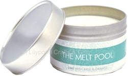 The Melt Pool Small Tin Lime, Basil & Orange Candle