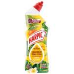 HARPIC Gel WC - Nettoyant Fraicheur d'Ailleurs Parfum Fruits Exotiques 750 ml