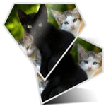 2 x Diamond Stickers 10 cm  - Cute Kittens Black Tabby Ginger Cat  #24573