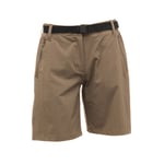 Regatta Womens Xert Walking Shorts - Brown Polyamide - Size 10 UK