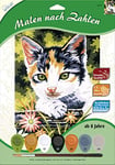 MAMMUT 105018 – Kit de peinture par numéros avec motif animal, chaton, chat, kit complet avec modèle de coloriage imprimé au format A4, 7 peintures acryliques et pinceaux, kit de peinture pour enfants