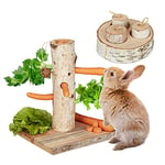 Relaxdays Arbre à Lapin & Jouet d’Intelligence, Lot de 2 Accessoires, Bois, Convient Aussi à Votre Cochon d’Inde, Nature