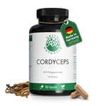 Cordyceps Sinensis | 180 gélules | Haute dose : 1400 mg de Cordyceps par dose journalière | Extrait 10:1 | Végétalien | Green Naturals®.