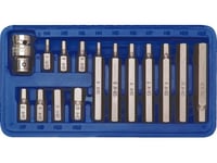 Vorel 66720 Hexagon Screwdriver Bit Set H4-H12 15Pcs