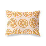 BonaMaison Housse de Coussin décorative, Motif Orange-cassé, taies d'oreiller décoratives pour Salon, canapé, Chambre à Coucher, Dimensions 45 x 60 cm