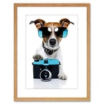 Wee Blue Coo Photo Jack Russell Dog Shades Camera Art Print Framed Poster Wall Decor 9x7 inch