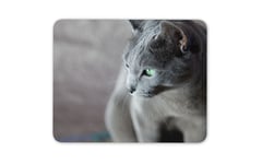 Beautiful Grey Cat Mouse Mat Pad - Girls Mum Student Uni Computer Gift #15405