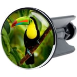 Bonde de lavabo - SANILO - Toucan - Clic-clac - Diamètre 40mm - Hauteur réglable