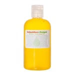 Living Libations Seabuckthorn Shampoo 240 ml