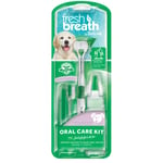 Oral Care Fresh Breath Kit