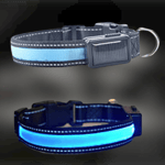LED Hundhalsband med Solcellsladdning -  Blå, Storlek (Färg: Blå, Storlek: Medium (15-25 kg))
