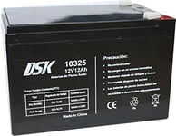 DSK 10325 - Batterie au Plomb AGM Rechargeable scellée 12V 12Ah. Idéal pour Les Voitures et Les Motos électriques pour Enfants, Scooters, systèmes UPS, systèmes de sécurité. Le Gel ne se renverse Pas