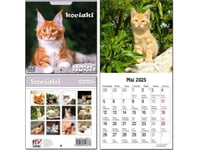 Kalender 2025 För Barn 16X32 13 Tavlor Kattungar