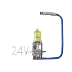 Michiba gul halogen billampa H3 70W 24V