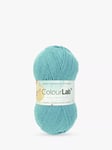 West Yorkshire Spinners ColourLab DK Yarn, 100g